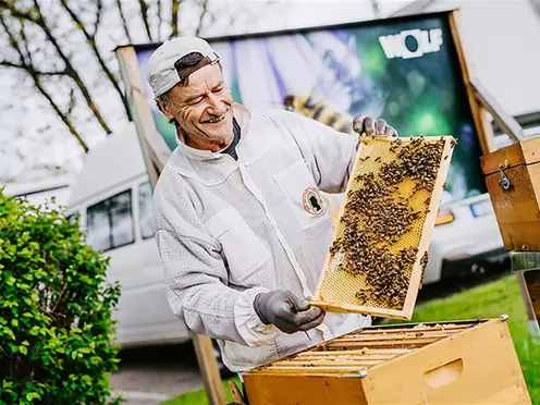 Imker mit Bienenwaben