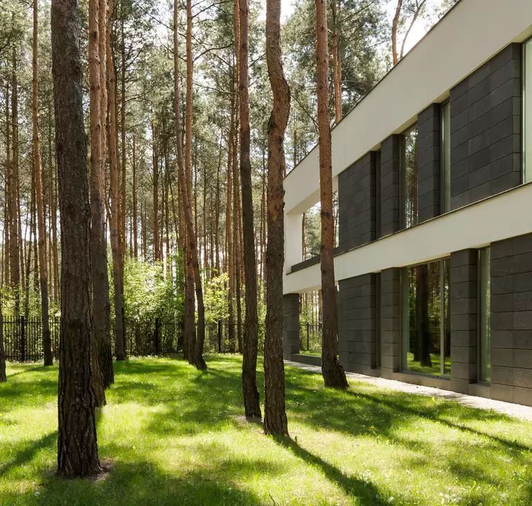 Forest with House and Trees