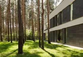 Wald mit Haus und Bäumen