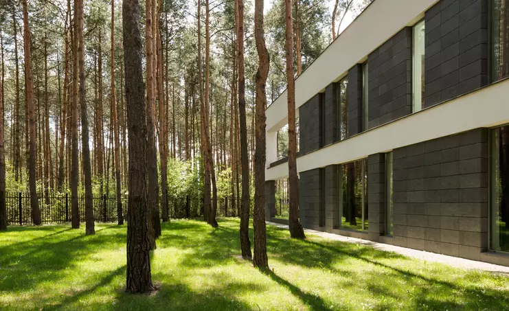 Forest with House and Trees