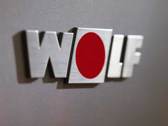 wolf