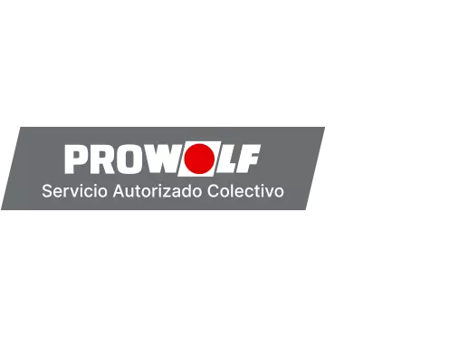 Servicio de instalación y mantenimiento de equipos de uso individual de WOLF.